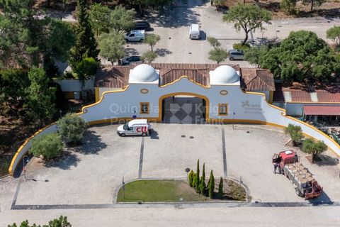 Villa a Quinta do Conde, Setubal, Quinta do Conde - € 3.200.000 | Ref: PROP-34594 - foto 26