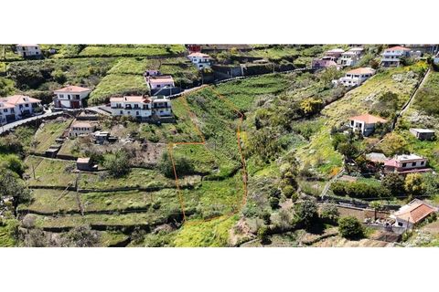 Helårsgrund i Camara de Lobos, Madeira, Camara de Lobos - € 180.000 | Ref: SÒL_143 - foto 2