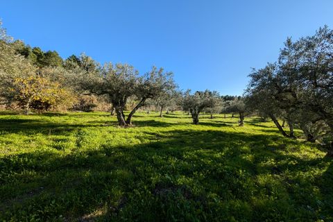 Villa a Trancoso, Guarda, Trancoso - € 145.000 | Ref: 046240306 - foto 2