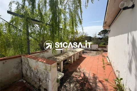 Villa a Galatone, Lecce, Galatone - € 85.000 | Ref: NUN-1375 - foto 17
