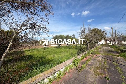 Villa a Galatone, Lecce, Galatone - € 85.000 | Ref: NUN-1375 - foto 20