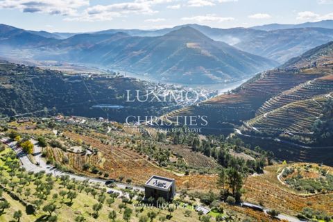 Villa a Sabrosa, Vila Real, Sabrosa - € 1.500.000 | Ref: LS05549 - foto 22