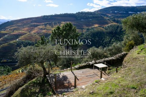 Villa a Sabrosa, Vila Real, Sabrosa - € 1.500.000 | Ref: LS05549 - foto 23