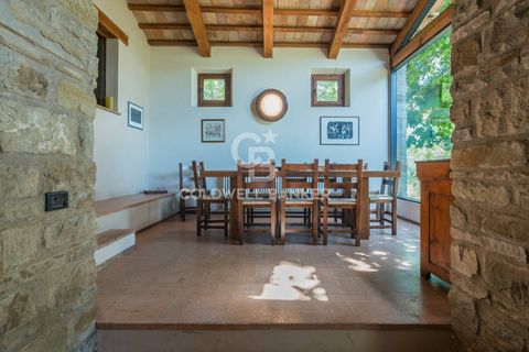 Villa i Borgo Pace, Pesaro and Urbino, Borgo Pace - € 750.000 | Ref: CBI099-1528-520833 - foto 10