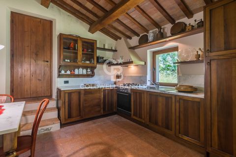 Villa i Borgo Pace, Pesaro and Urbino, Borgo Pace - € 750.000 | Ref: CBI099-1528-520833 - foto 17