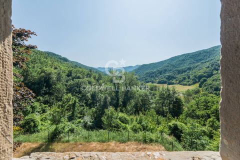 Villa i Borgo Pace, Pesaro and Urbino, Borgo Pace - € 750.000 | Ref: CBI099-1528-520833 - foto 37