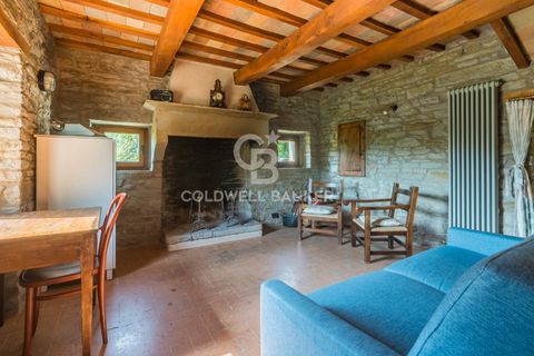 Villa i Borgo Pace, Pesaro and Urbino, Borgo Pace - € 750.000 | Ref: CBI099-1528-520833 - foto 39