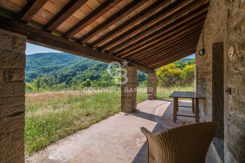 Villa i Borgo Pace, Pesaro and Urbino, Borgo Pace - € 750.000 | Ref: CBI099-1528-520833 - foto 48