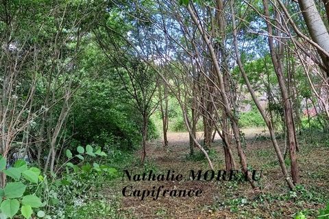 Villa i Autun, Saone-et-Loire, Autun - € 43.000 | Ref: 340933873436 - foto 7