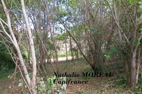 Villa i Autun, Saone-et-Loire, Autun - € 43.000 | Ref: 340933873436 - foto 8