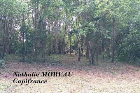 Villa i Autun, Saone-et-Loire, Autun - € 43.000 | Ref: 340933873436 - foto 13