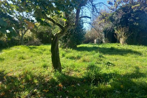 Villa i Thiers, Puy-de-Dome, Thiers - € 164.000 | Ref: 340931728544 - foto 2