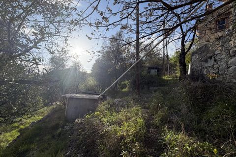 Villa a L'Escarène, Alpes-Maritimes, L'Escarène - € 55.000 | Ref: 86925702 - foto 10