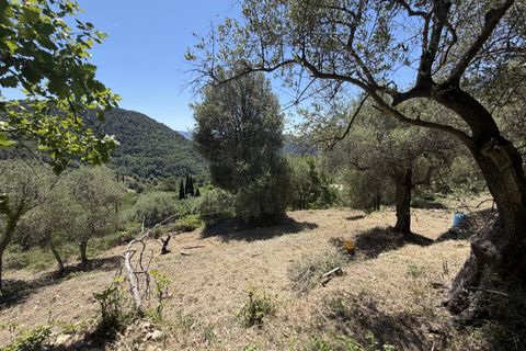 Villa a L'Escarène, Alpes-Maritimes, L'Escarène - € 55.000 | Ref: 86925702 - foto 6