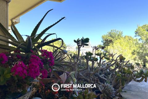 Leilighet i Cala Vinyes, Mallorca, Cala Vinyes - € 650 000 | Ref: 82590 - foto 14
