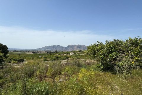 Finca i Orihuela, Alicante, Orihuela - € 139.000 | Ref: AG19MLSC2818999 - foto 17