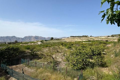 Finca i Orihuela, Alicante, Orihuela - € 139.000 | Ref: AG19MLSC2818999 - foto 18
