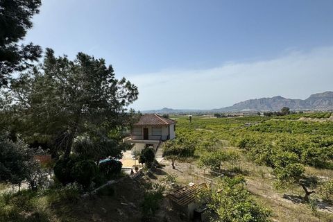 Finca i Orihuela, Alicante, Orihuela - € 139.000 | Ref: AG19MLSC2818999 - foto 19