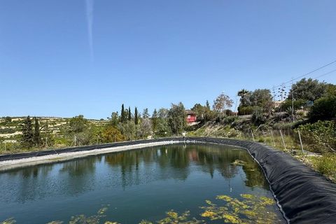 Finca i Orihuela, Alicante, Orihuela - € 139.000 | Ref: AG19MLSC2818999 - foto 20