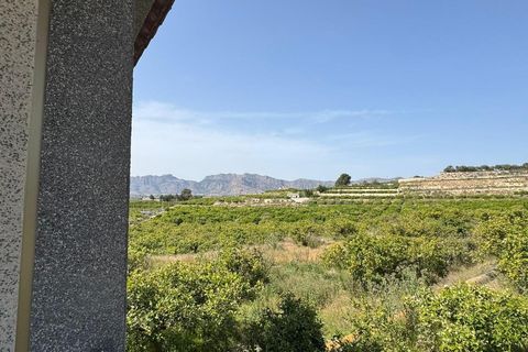 Finca i Orihuela, Alicante, Orihuela - € 139.000 | Ref: AG19MLSC2818999 - foto 24