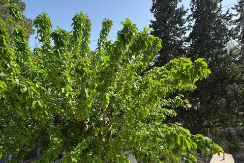 Finca i Orihuela, Alicante, Orihuela - € 139.000 | Ref: AG19MLSC2818999 - foto 25