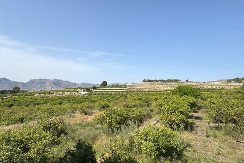 Finca i Orihuela, Alicante, Orihuela - € 139.000 | Ref: AG19MLSC2818999 - foto 26