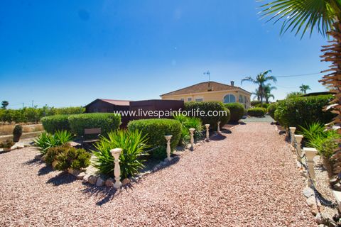 Landejendom i Catral, Alicante, Catral - € 379.995 | Ref: Cat MMT - foto 36
