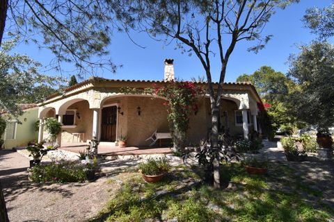 Villa i Algoda, Alicante, Algoda - € 465.000 | Ref: MATCHAT/10946 - foto 21