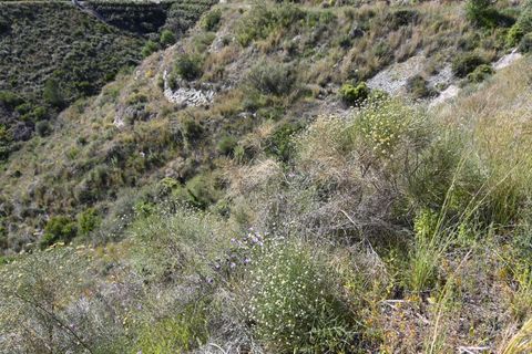 Helårsgrund i Salobrena, Granada, Salobrena - € 45.000 | Ref: 2079 - foto 4