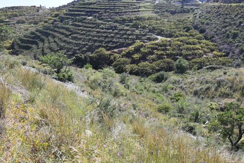 Helårsgrund i Salobrena, Granada, Salobrena - € 45.000 | Ref: 2079 - foto 5