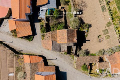 Byhus i Pinhel, Guarda, Pinhel - € 33.250 | Ref: 868813 - foto 9