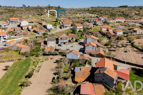 Byhus i Pinhel, Guarda, Pinhel - € 33.250 | Ref: 868813 - foto 10