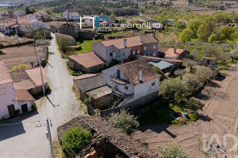 Byhus i Pinhel, Guarda, Pinhel - € 33.250 | Ref: 868813 - foto 11