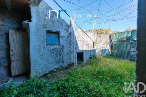 Byhus i Pinhel, Guarda, Pinhel - € 33.250 | Ref: 868813 - foto 15