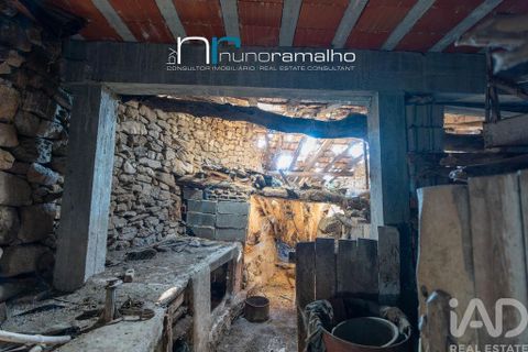 Byhus i Pinhel, Guarda, Pinhel - € 33.250 | Ref: 868813 - foto 18