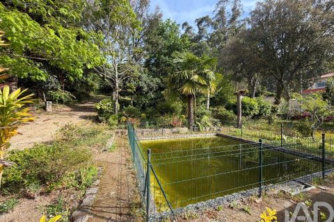 Tomt i Barcelos, Braga, Barcelos - € 76 150 | Ref: 791575 - foto 3