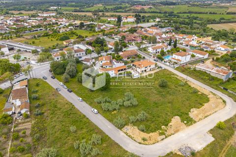 Helårsgrund i Torres Novas, Santarem, Torres Novas - € 45.000 | Ref: FR1105 - foto 12