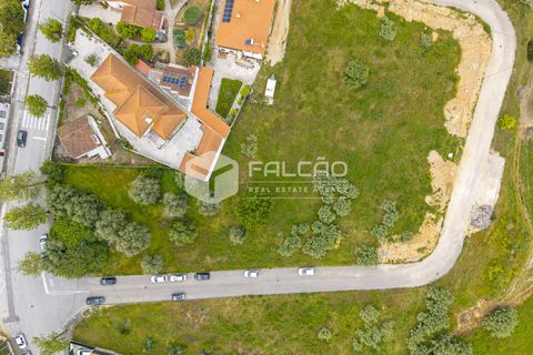 Helårsgrund i Torres Novas, Santarem, Torres Novas - € 45.000 | Ref: FR1105 - foto 14