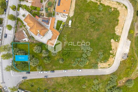 Helårsgrund i Torres Novas, Santarem, Torres Novas - € 45.000 | Ref: FR1105 - foto 17