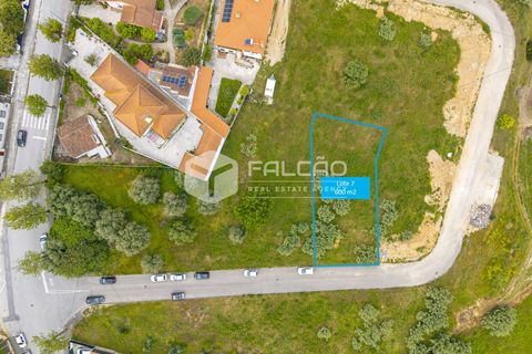 Helårsgrund i Torres Novas, Santarem, Torres Novas - € 45.000 | Ref: FR1105 - foto 19