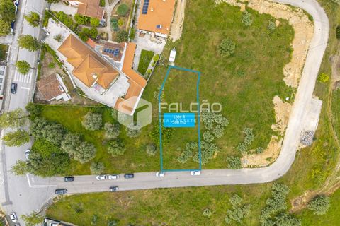 Helårsgrund i Torres Novas, Santarem, Torres Novas - € 45.000 | Ref: FR1105 - foto 20