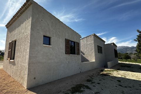 Landejendom i Campanet, Mallorca, Campanet - € 3.500.000 | Ref: CAM52200 - foto 14