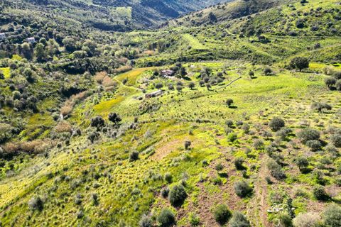 Terra a Gratteri, Palermo, Gratteri - € 55.000 | Ref: Plot Gorgone - Gratteri - foto 3