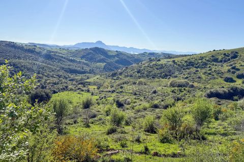 Terra a Gratteri, Palermo, Gratteri - € 55.000 | Ref: Plot Gorgone - Gratteri - foto 4