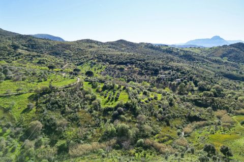 Terra a Gratteri, Palermo, Gratteri - € 55.000 | Ref: Plot Gorgone - Gratteri - foto 13