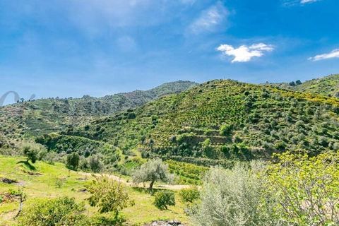 Villa i Competa, Malaga, Competa - € 1.100.000 | Ref: CP789 - foto 4
