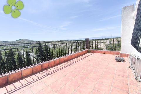 Landejendom i Albox, Almeria, Albox - € 149.990 | Ref: CRE-2697 - foto 27