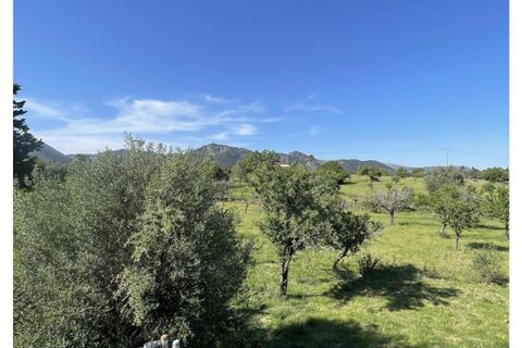 Rækkehus i Selva, Mallorca, Selva - € 539.000 | Ref: EXP13929/8930 - foto 8