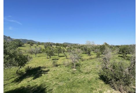 Rækkehus i Selva, Mallorca, Selva - € 539.000 | Ref: EXP13929/8930 - foto 10
