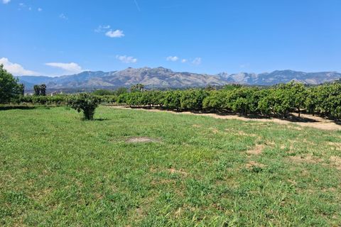 Landejendom i Xerta, Tarragona, Xerta - € 115.000 | Ref: EXP14042/8930 - foto 29